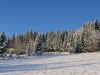 IMG_0720.JPG