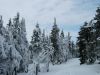 DSCN0456_resize.jpg