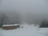 P1080245_resize.JPG