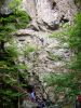 P1040611_resize.JPG