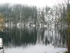 P1060676_resize.JPG