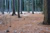 001_JP_08_Pavla_resize.JPG