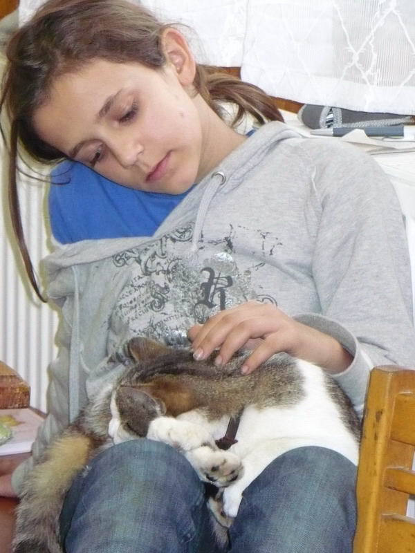 Klikněte pro zobrazení původního (velkého) obrázku
