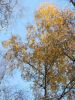 069_PP_2009_resize.jpg