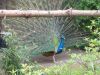 060_Cyklo_Labe_resize.jpg