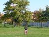 013_Drakyada2010_resize.jpg