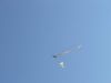 024_Drakyada2010_resize.jpg