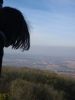 pa281000.jpg
