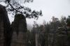 DSC_0110.JPG