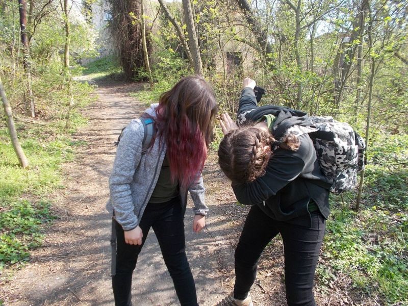 Klikněte pro zobrazení původního (velkého) obrázku