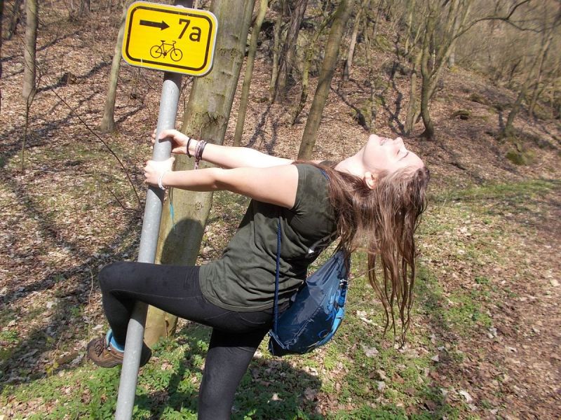 Klikněte pro zobrazení původního (velkého) obrázku