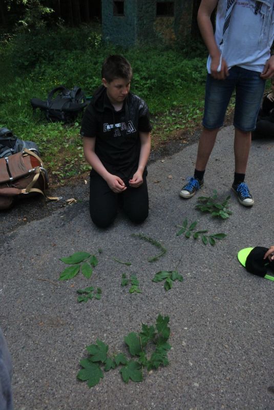 Klikněte pro zobrazení původního (velkého) obrázku
