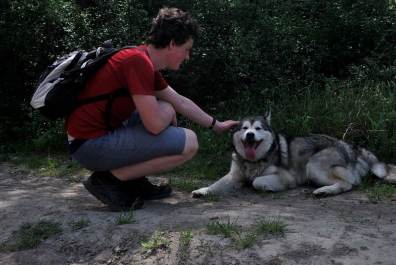 Klikněte pro zobrazení původního (velkého) obrázku