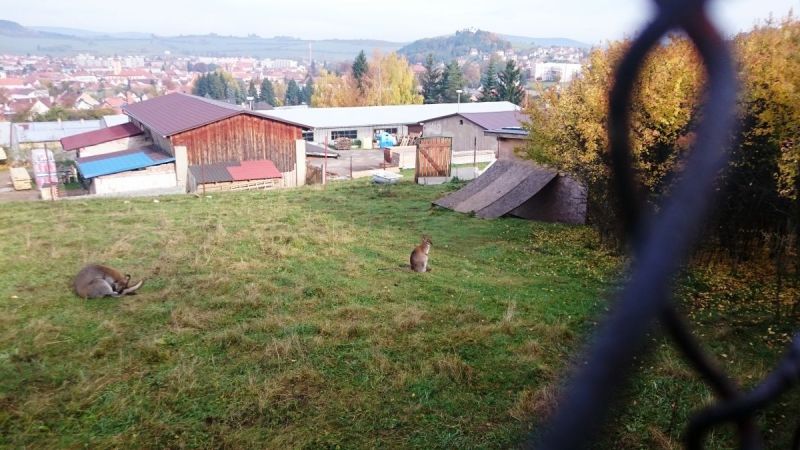 Klikněte pro zobrazení původního (velkého) obrázku