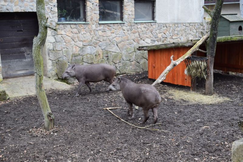 Klikněte pro zobrazení původního (velkého) obrázku