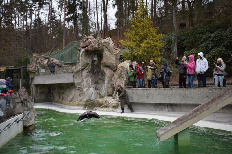 Klikněte pro zobrazení původního (velkého) obrázku