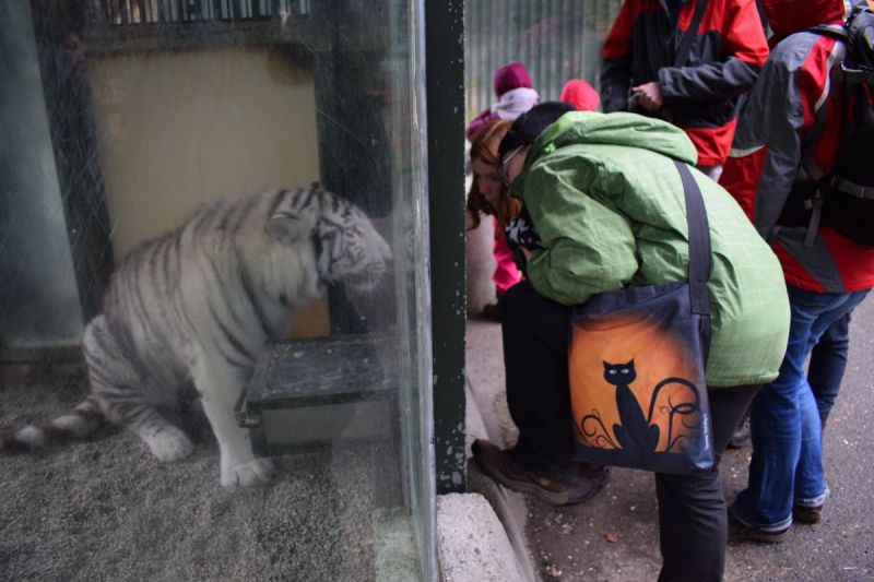 Klikněte pro zobrazení původního (velkého) obrázku