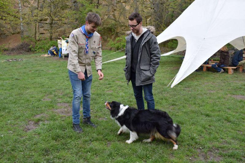 Klikněte pro zobrazení původního (velkého) obrázku