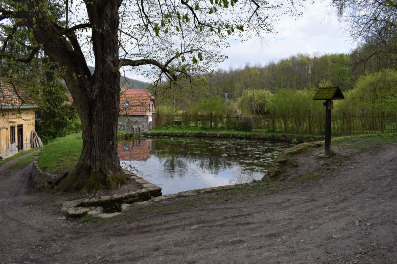Klikněte pro zobrazení původního (velkého) obrázku