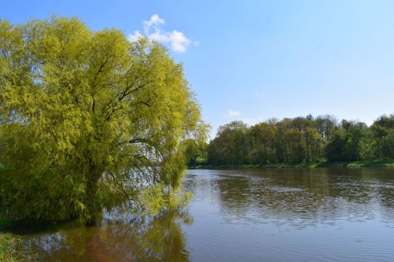 Klikněte pro zobrazení původního (velkého) obrázku