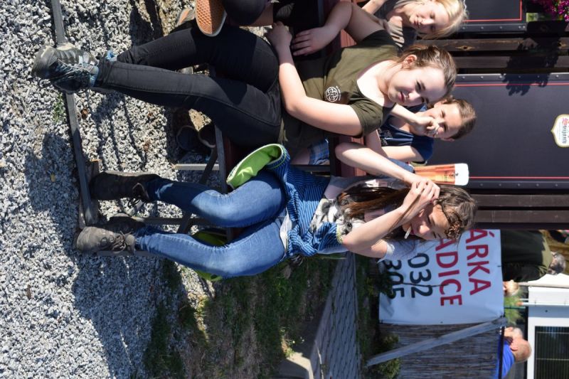 Klikněte pro zobrazení původního (velkého) obrázku