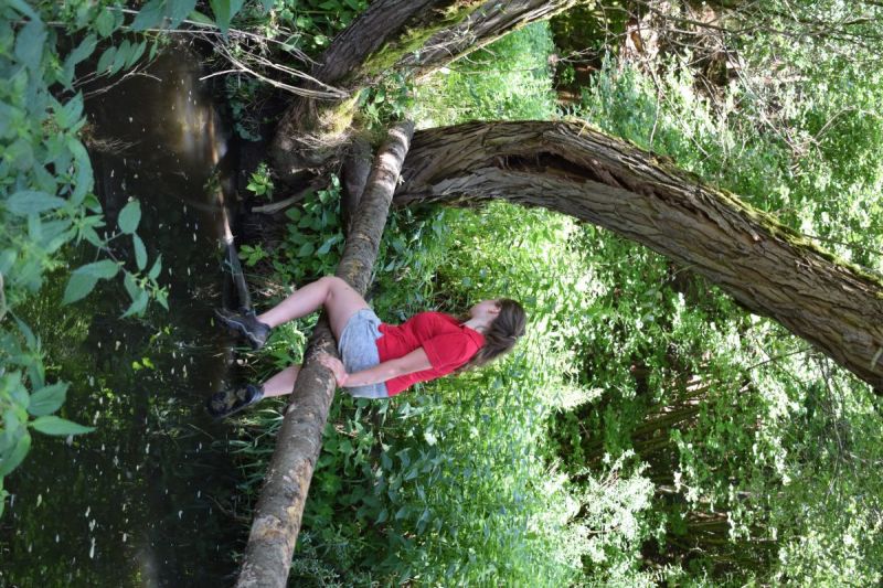 Klikněte pro zobrazení původního (velkého) obrázku