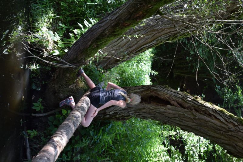Klikněte pro zobrazení původního (velkého) obrázku