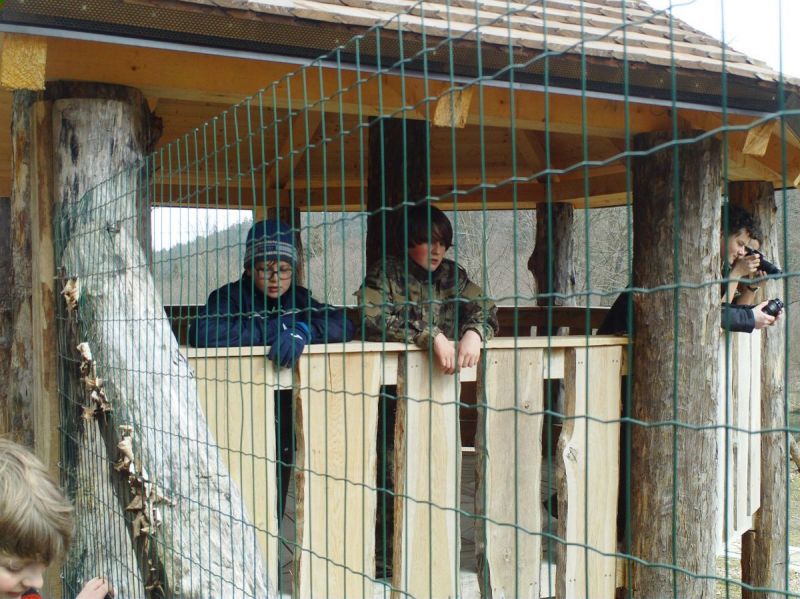 Klikněte pro zobrazení původního (velkého) obrázku