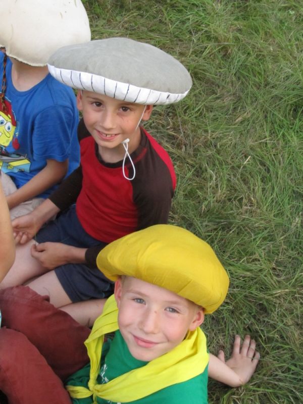 Klikněte pro zobrazení původního (velkého) obrázku