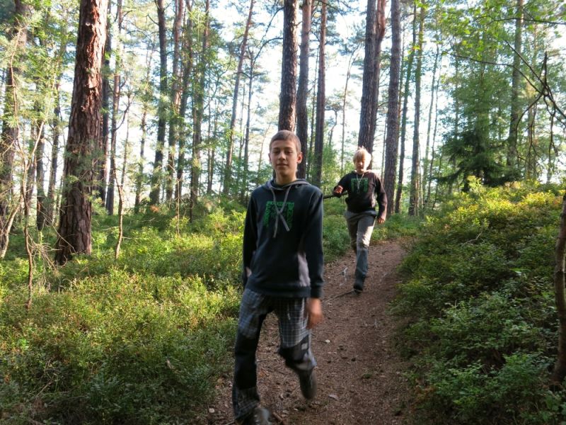 Klikněte pro zobrazení původního (velkého) obrázku