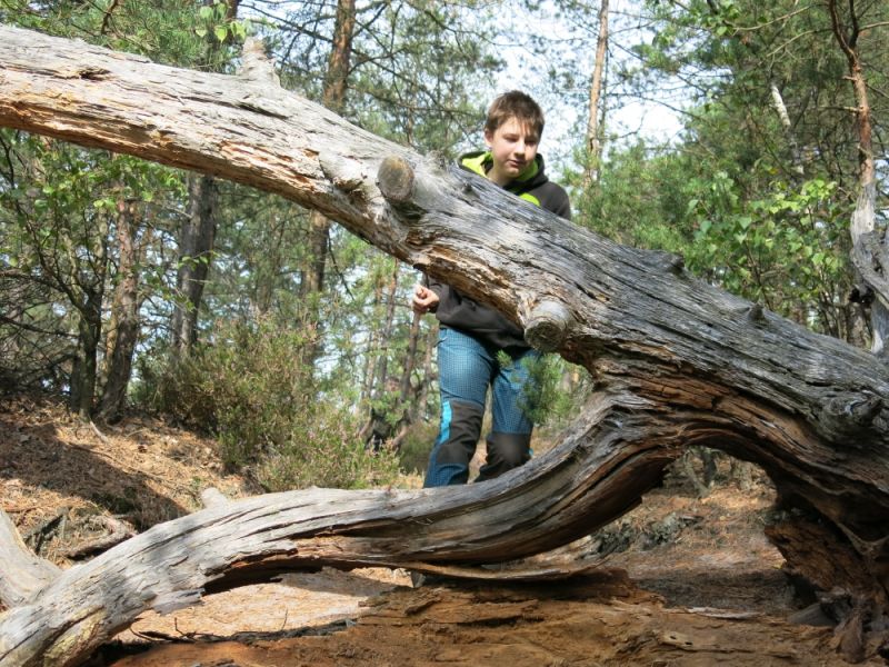 Klikněte pro zobrazení původního (velkého) obrázku