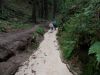 DSCN8092.JPG