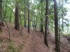 DSCN8288.JPG