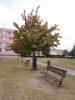 DSCN8642.JPG