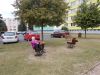 DSCN8643.JPG