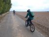 DSCN8703.JPG