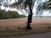 DSCN8715.JPG