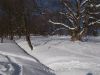 DSCN8997.JPG