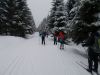 Název souboru=DSCN9071.JPG
Velikost souboru=186KB
Rozměry=1200x900
Datum přidání=24. Únor 2017 DSCN9071.JPG