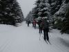 Název souboru=DSCN9072.JPG
Velikost souboru=178KB
Rozměry=1200x900
Datum přidání=24. Únor 2017 DSCN9072.JPG