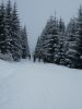 DSCN9087.JPG