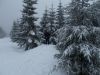 DSCN9125.JPG