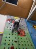 DSCN9169.JPG