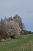 DSC_0023.JPG