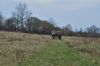 Název souboru=DSC_0025.JPG
Velikost souboru=173KB
Rozměry=1200x803
Datum přidání=21. Duben 2016 DSC_0025.JPG