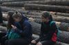 Název souboru=DSC_0027.JPG
Velikost souboru=135KB
Rozměry=1200x803
Datum přidání=6. Listopad 2017 DSC_0027.JPG