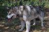 Název souboru=DSC_0082.JPG
Velikost souboru=186KB
Rozměry=1200x803
Datum přidání=24. Květen 2016 DSC_0082.JPG
