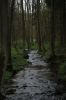 DSC_0120.JPG