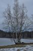 Název souboru=DSC_0270.JPG
Velikost souboru=229KB
Rozměry=803x1200
Datum přidání=21. Duben 2016 DSC_0270.JPG