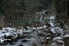 Název souboru=DSC_0290.JPG
Velikost souboru=285KB
Rozměry=1200x803
Datum přidání=21. Duben 2016 DSC_0290.JPG